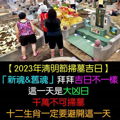 2023 掃墓吉日|2023年清明節掃墓吉日吉時曝光！命理師一篇文揭哪些日子不能。